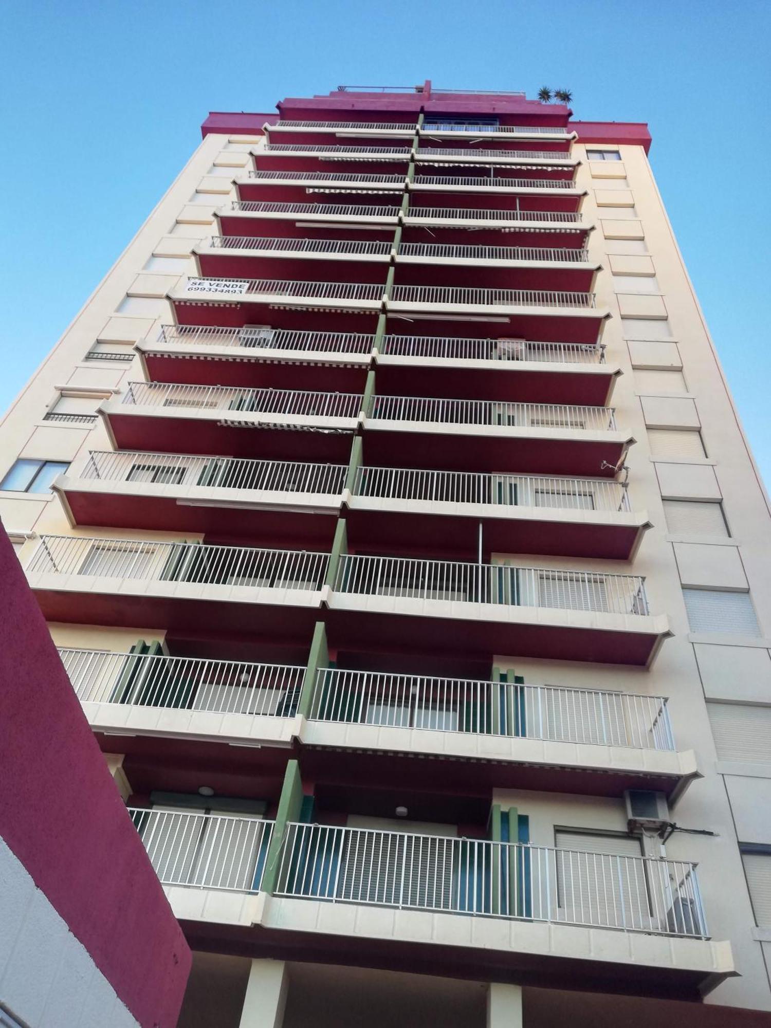 Danio Solo Familia Serviplaya Playa de Gandia Buitenkant foto