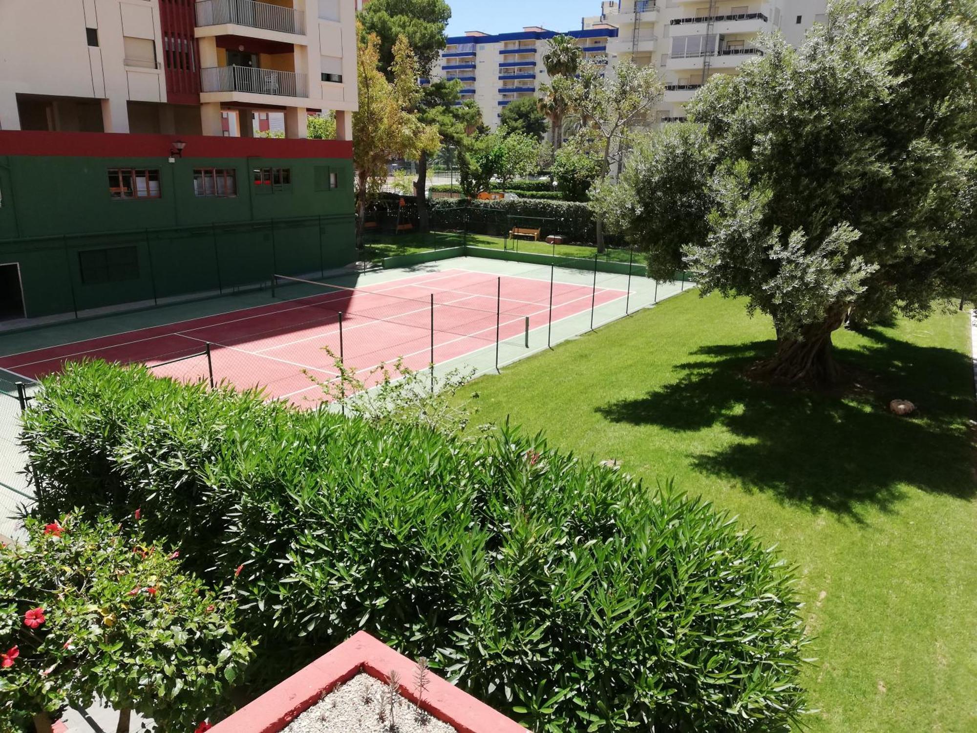 Danio Solo Familia Serviplaya Playa de Gandia Buitenkant foto